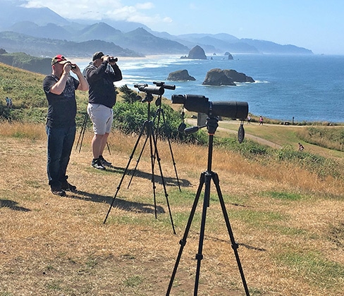 Private Custom Tours