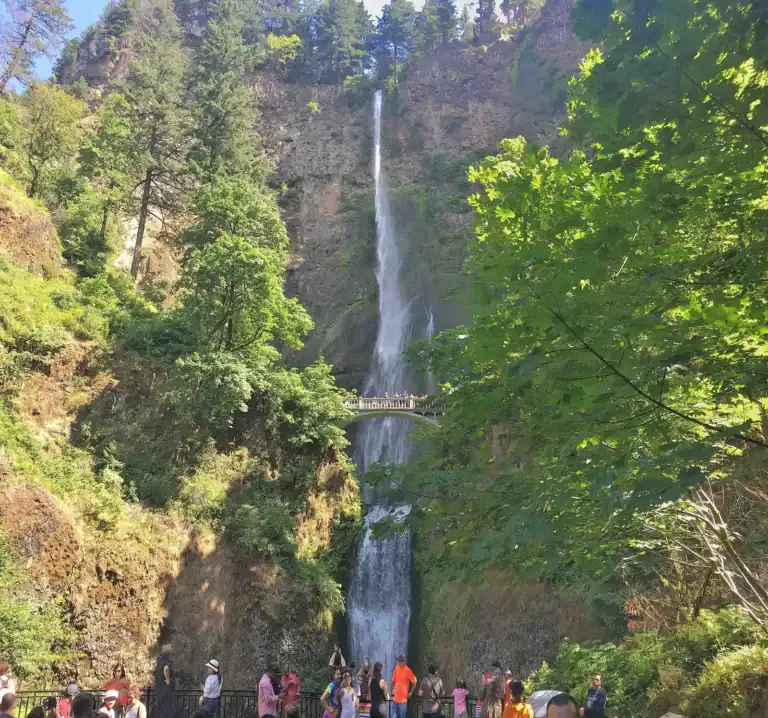 Multnomah Falls with view of the falls and the upper bridge. Part of the Columbia Gorge Waterfalls Mt. Hood Loop Tour