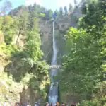 Picture of Multnomah Falls with visitors on the bridge in foreground, surrounded by lush green trees.