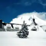 Snow-engulfed Timberline Lodge with pine trees in front and the peak of Mt. Hood behind - a winter wonderland.